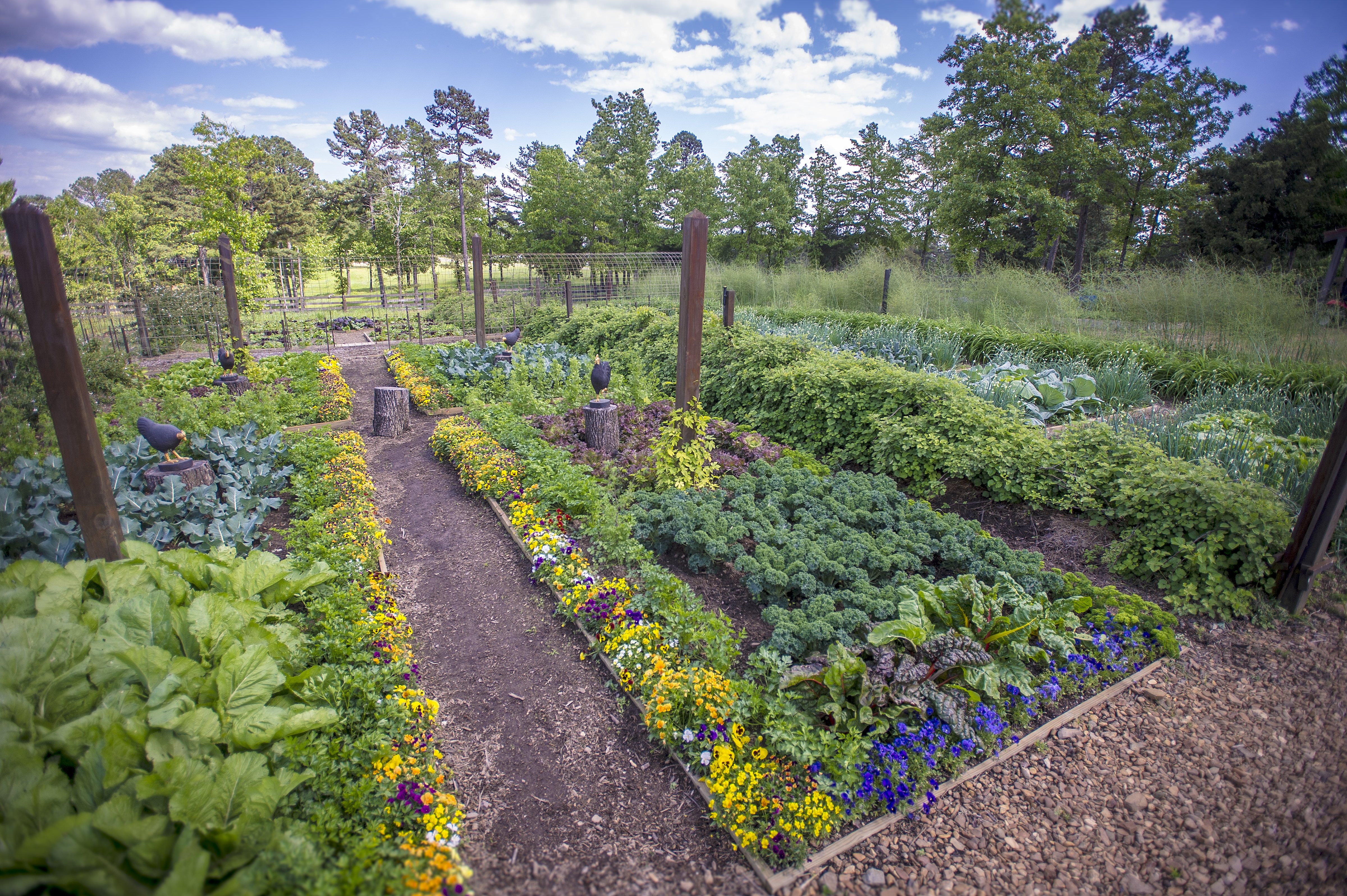 P. Allen Smith's vegetable garden